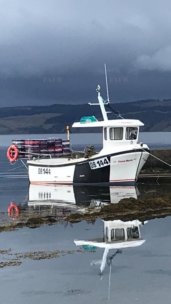 Large picture for advert 112527
