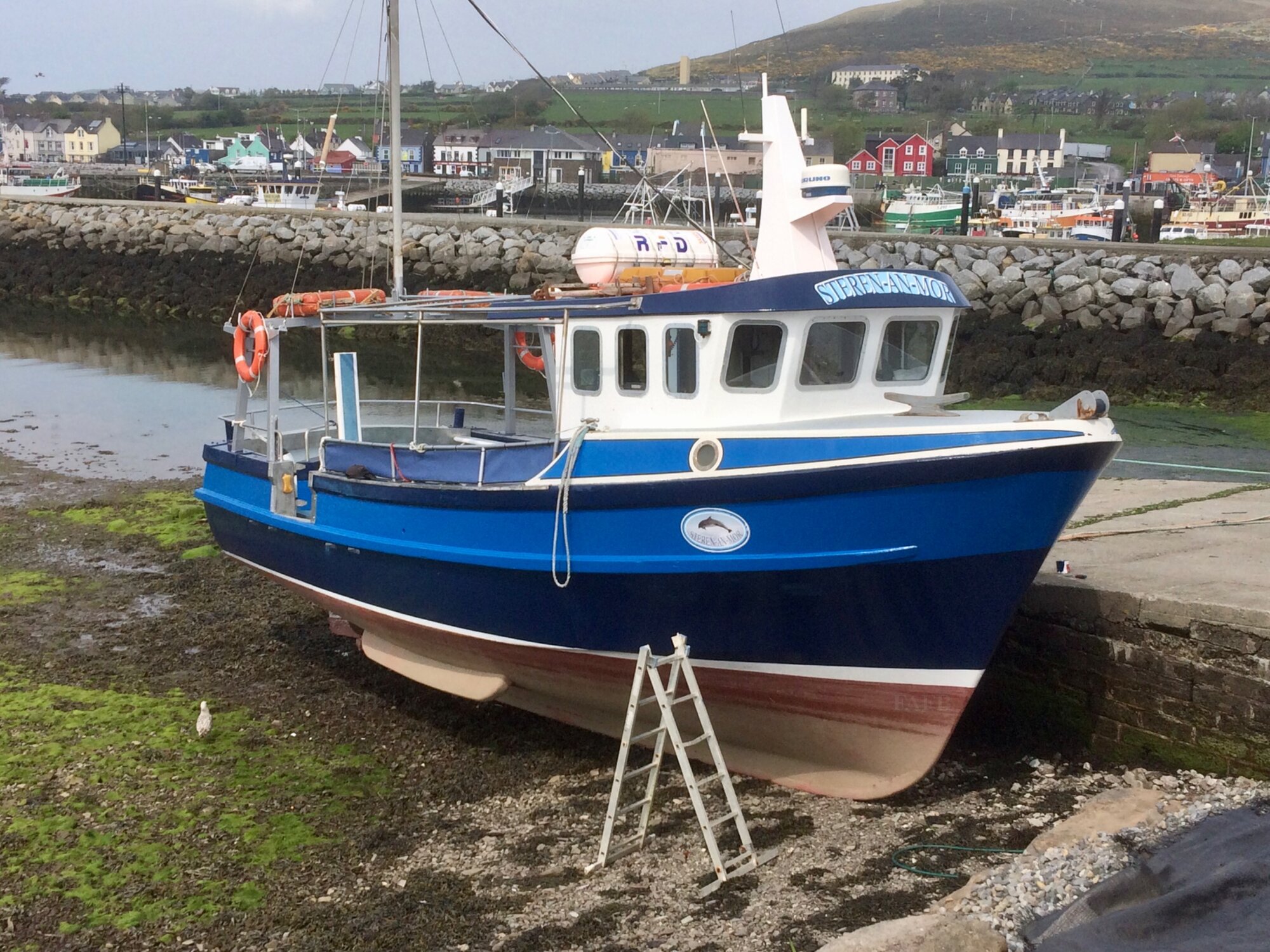 Large picture for advert 114077