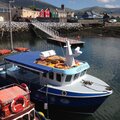 Extra picture for advert 114077