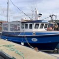 Extra picture for advert 114077