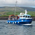 Extra picture for advert 114077