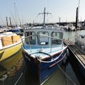 Extra picture for advert 105177
