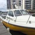 Extra picture for advert 105477