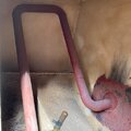 Extra picture for advert 118527