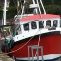 Extra picture for advert 115577